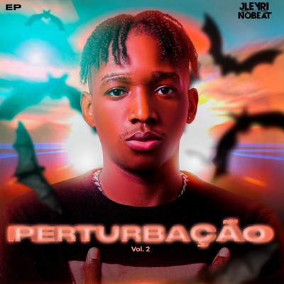 PERTURBAÇÃO VOL,2