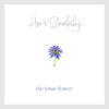 The Lotus Flower - Amr Shalaby