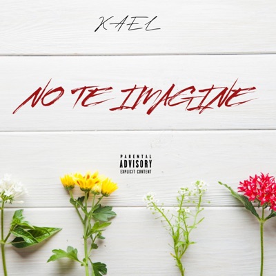 No te imagine - Single