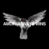 AMOR. ALWAYS WINS - Single - desamor.