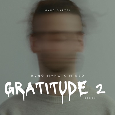 Gratitude 2 (feat. M Red) [Remix] - Single