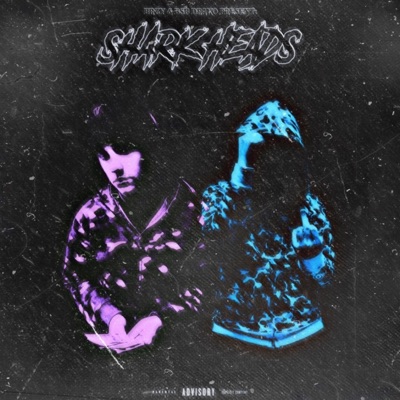 Bsb Drako & Brzy Present: Shark Heads - EP