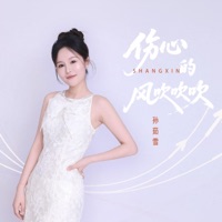 伤心的风吹吹吹 (节奏慢摇版) - Single - 孙茹雪