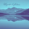 Magnetic Reflections