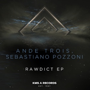 Rawdict - Single