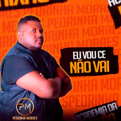 Eu Vou Ce Não Vai - Single
