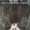 Family - The National Forest lyrics