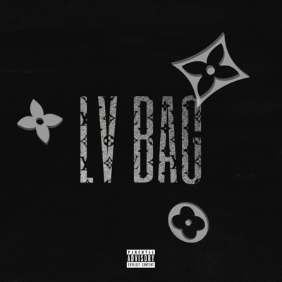 LV BAG - Single