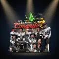 gusanito