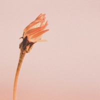 The Things We've Said and Done - Infralyd