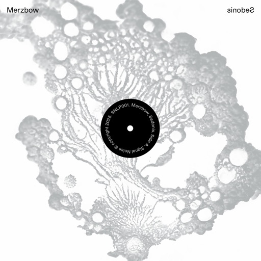 Album artwork