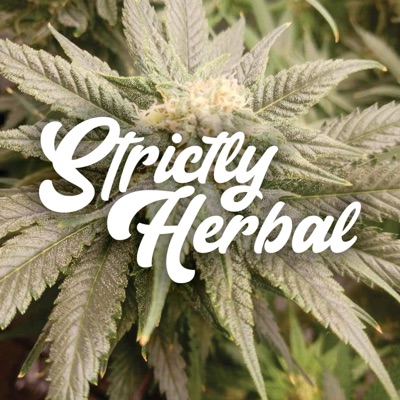 Listen (feat. New Reb) - Single