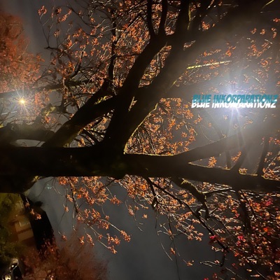 Bedroom 2 The Basement - Single