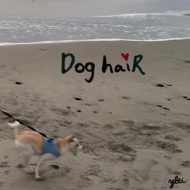 DOG HAIR Ylti