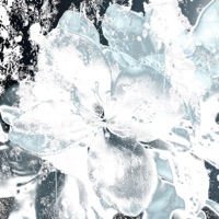 kaputt - Single - 5v