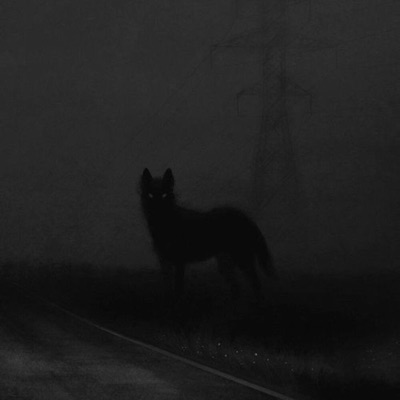 Silent Soul Retreat - Beware the Wolf