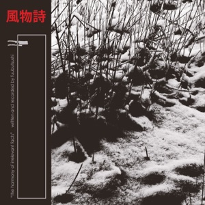 Harmony of Irrelevant Facts - Single