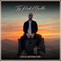 Toz Pembe Masallar - Single - Onur Bayraktar