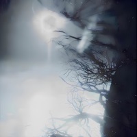 SKINS - Single - Nølaps