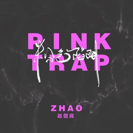 粉色陷阱 赵偲旖