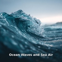 Ocean Waves and Sea Air - Waves Hard