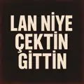 Lan Niye Çektin Gittin
