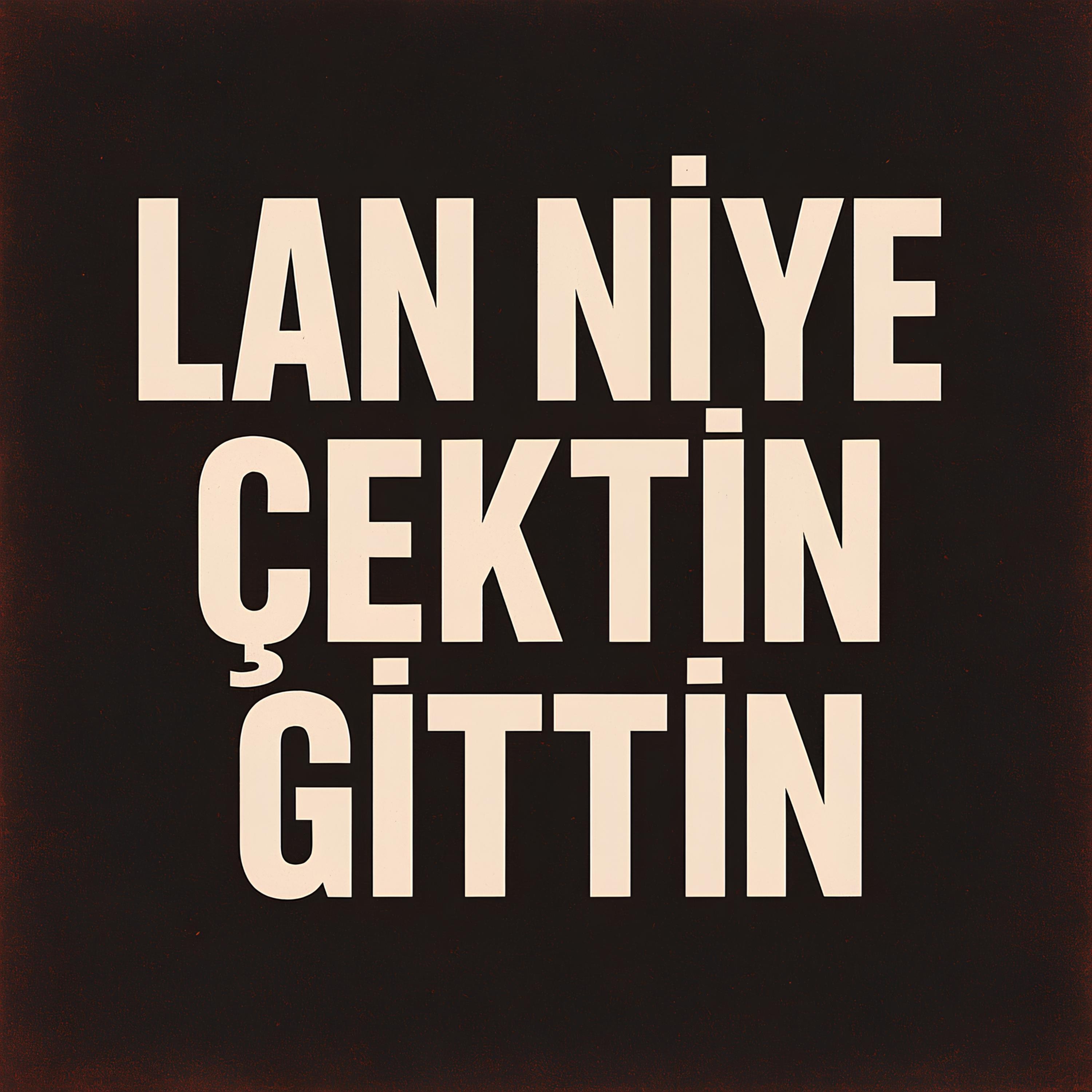 Lan Niye Çektin Gittin - Single