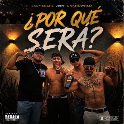 ¿POR QUE SERA? (feat. UnknownMx) - Single