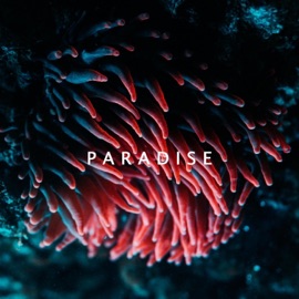 Paradise Abel York