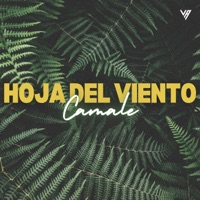 Hoja Del Viento - Single - Camale