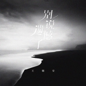 别说遗憾了 - Single