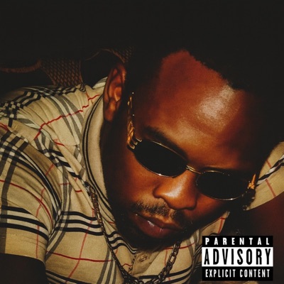 GXNG (feat. Damnit Madelela) - Single