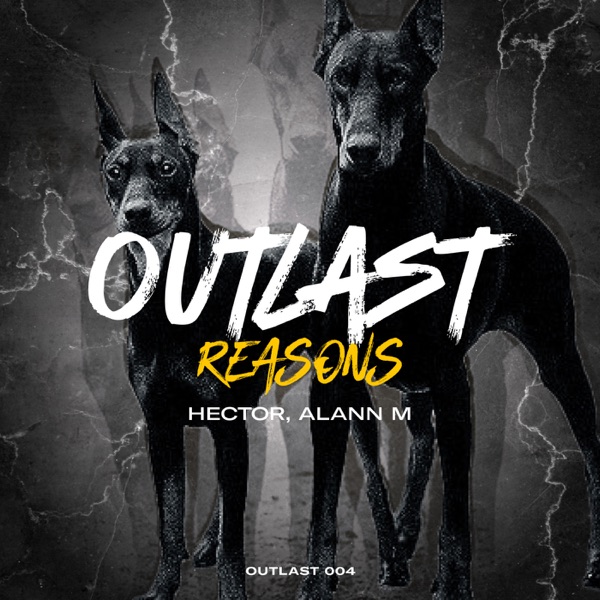 Reasons - Single