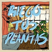 RIEGO TUS PLANTAS - Single - dracco mx & Lap