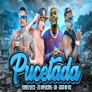 Pucetada