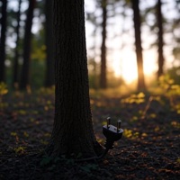 Plug - Single - Shak Stzy