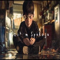 Szukam Spokoju - Single - Heron M.W.M