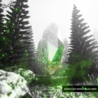 Black Forest - Single - Max Mayorov & Ivanhoe