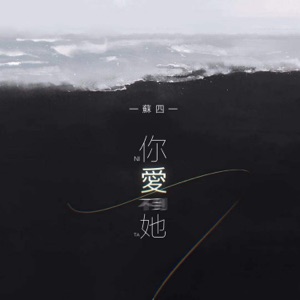 你爱不到她 - Single