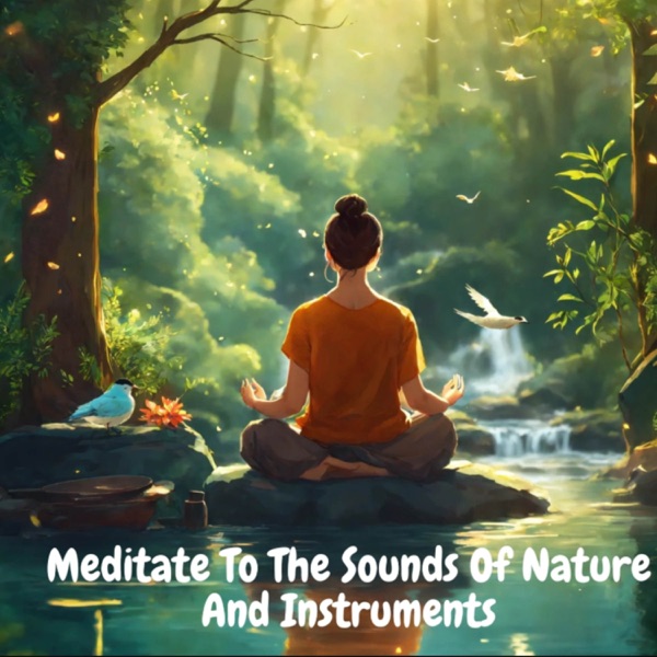 Meditate To The Sounds Of Nature And Instruments