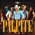 Palpite