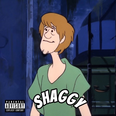 Shaggy - Single