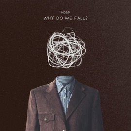 WHY DO WE FALL? NDGØ