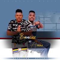 Bakhulule no Afrika_HLANGANA BHACA - Single - Maskandi First Class