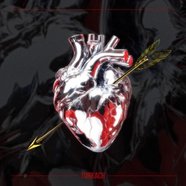 Моя мишень Turkach