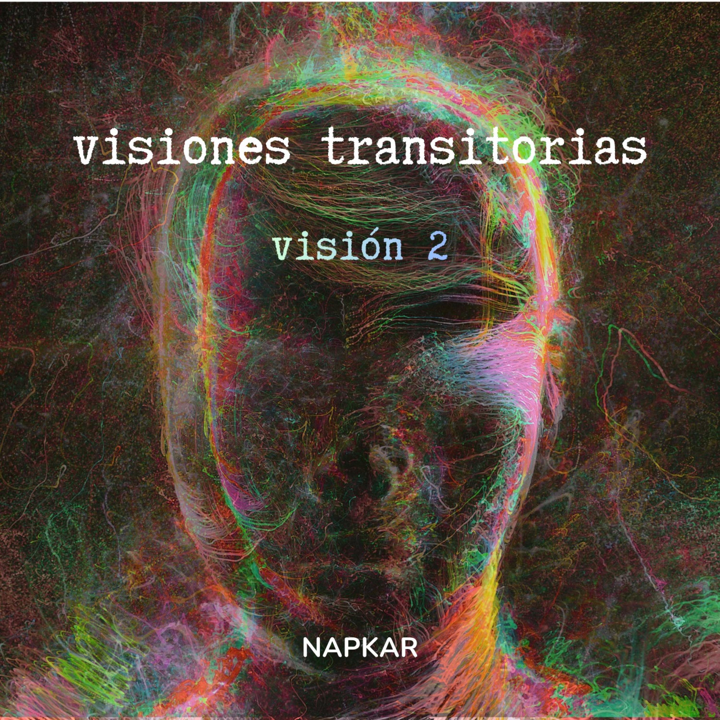 Visiones Transitorias - Visión 2