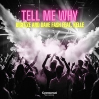 Tell Me Why (feat. Kelle) [Radio Edit] - Single - DAVE FASH