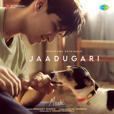 Jaadugari - Single