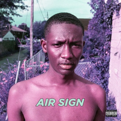 Air Sign - Single