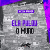Ela Pulou o Muro - Single - Mc 2M Rapper & DJ FROES